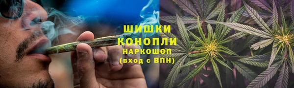 spice Инсар