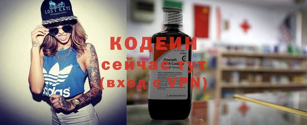 ешки Инта