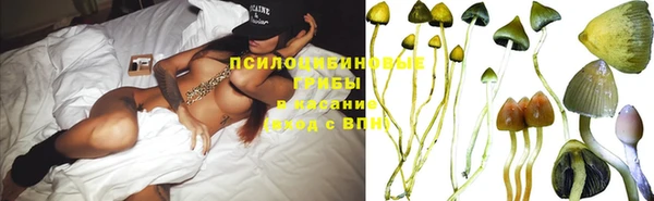 ешки Инта