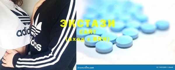 ешки Инта