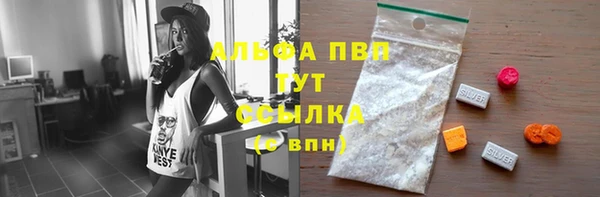 ешки Инта