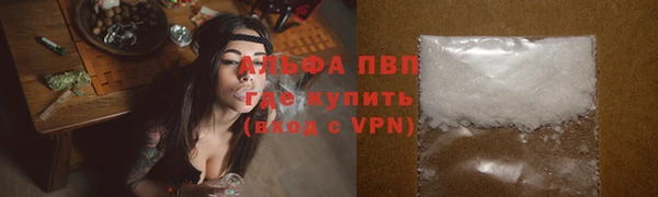 spice Инсар