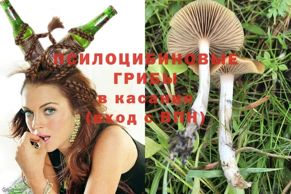 spice Инсар