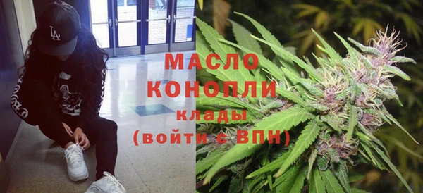 ешки Инта