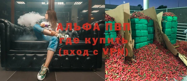 spice Инсар