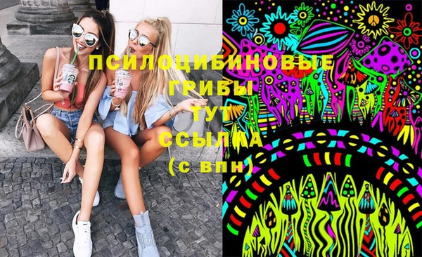 spice Инсар