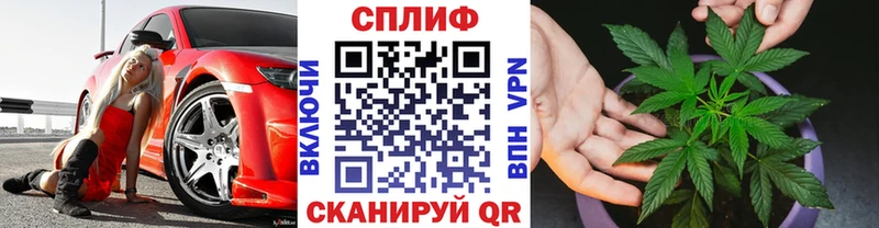 Шишки марихуана Amnesia  Купить где  Сенгилей 